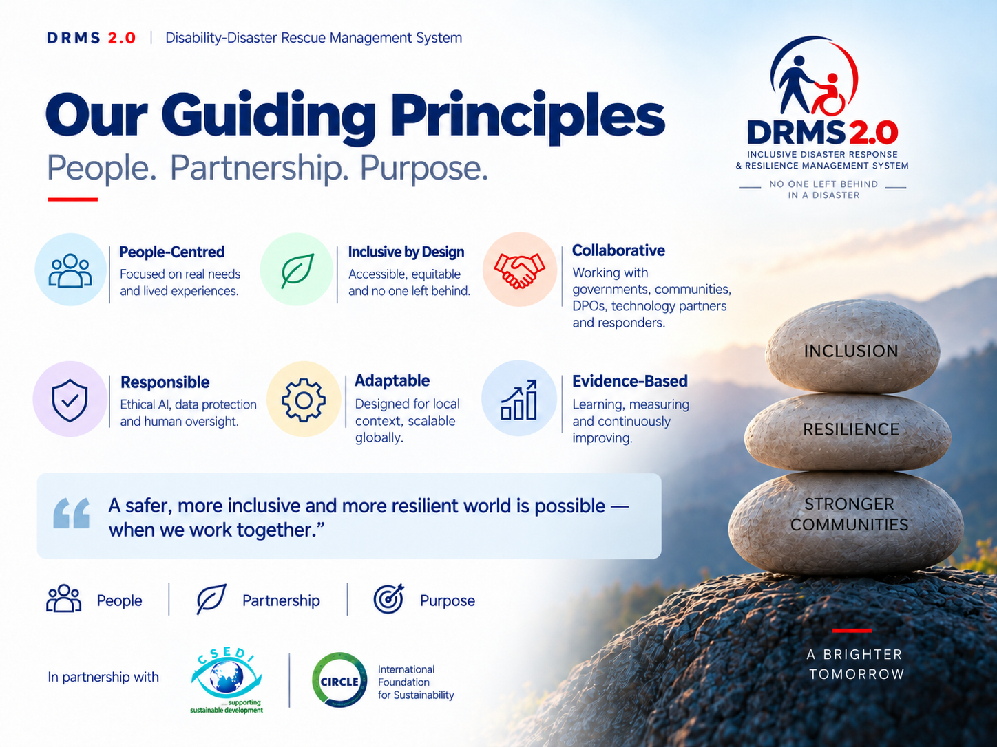 DRMS 2.0 Guiding Principles