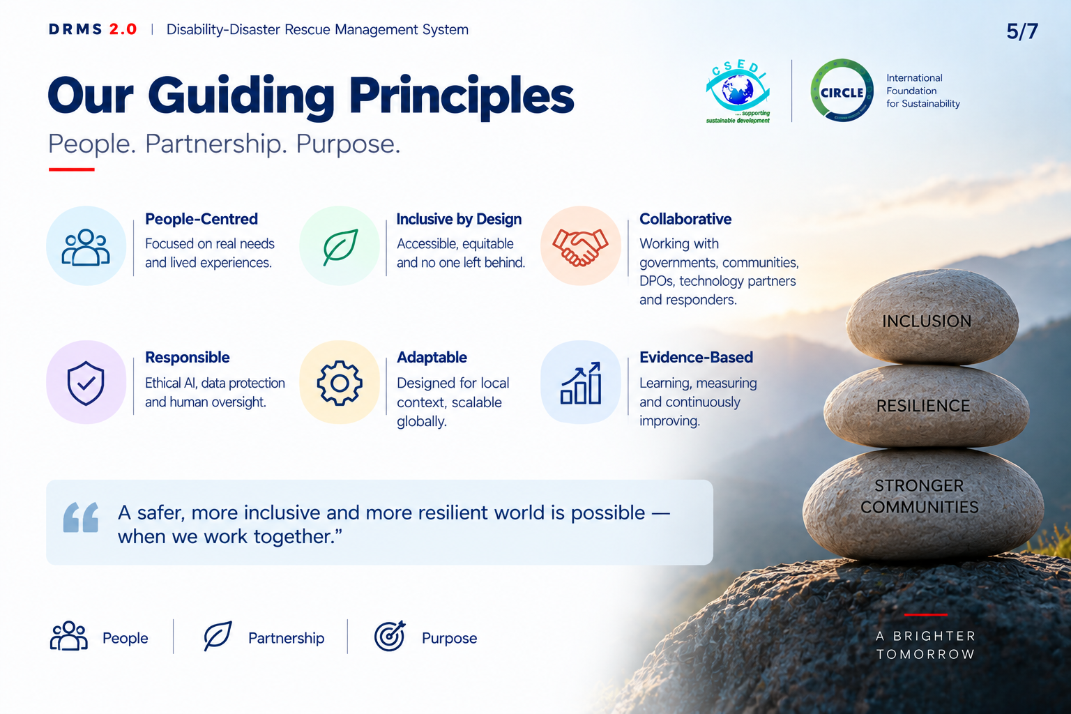 DRMS guiding principles